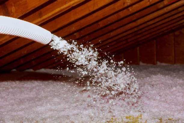 Professional Insulation Contractor in Fircrest, WA