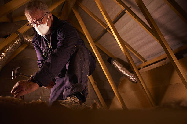 Best Specialized Insulation Services in Fircrest, WA