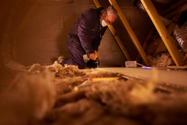 Types of Insulation We Offer in Fircrest, WA